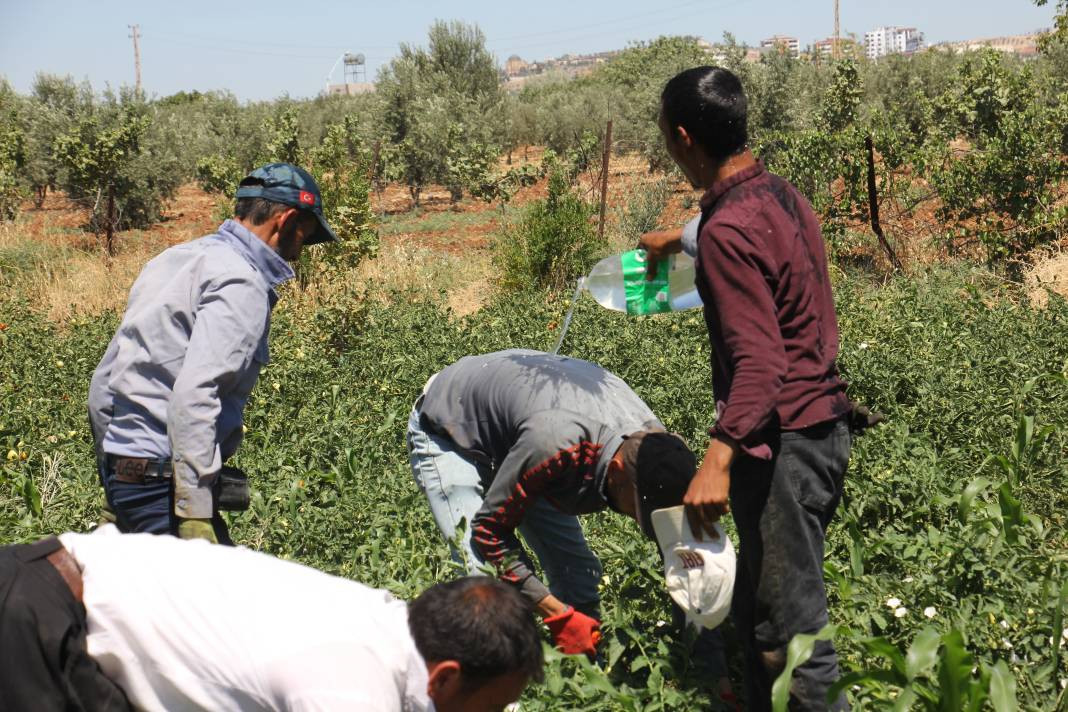 Güneydoğu kavruluyor! Sıcaklıklar 40 dereceyi aştı - Resim: 3